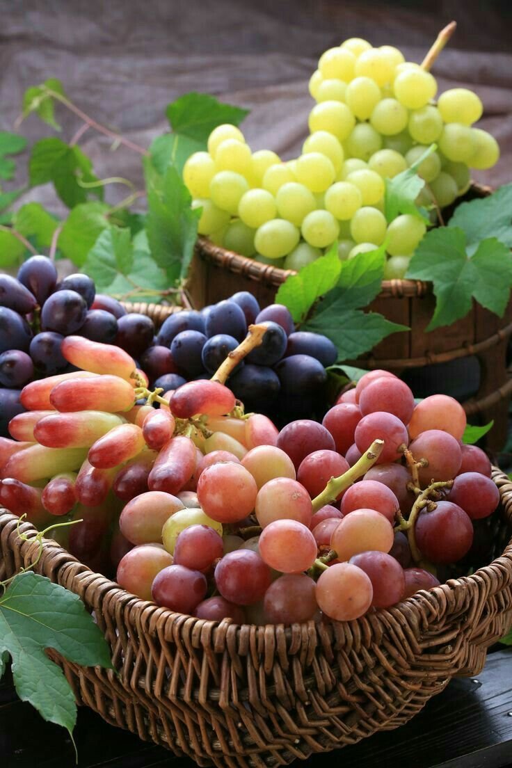 Fresh Grapes